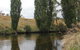 Thredbo River Picnic Area - thumb 3