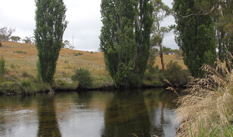 Thredbo River Picnic Area - Lightning Ridge Tourism 3