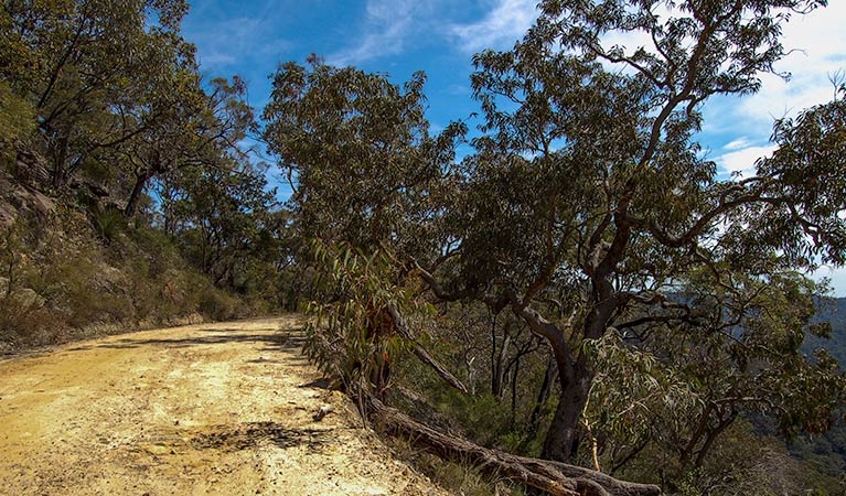 Colo Heights NSW Lightning Ridge Tourism