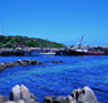 King Island Dairies - Lightning Ridge Tourism