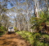 Barrington trail - Lightning Ridge Tourism