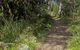 Devils Hole Lookout Walk And Picnic Area - thumb 2