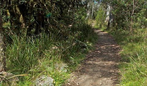 Devils Hole Lookout Walk And Picnic Area - Lightning Ridge Tourism 2