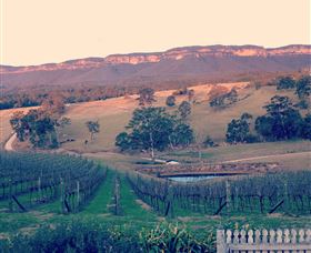 Dryridge Estate - Lightning Ridge Tourism 0