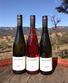Dryridge Estate - Lightning Ridge Tourism 2