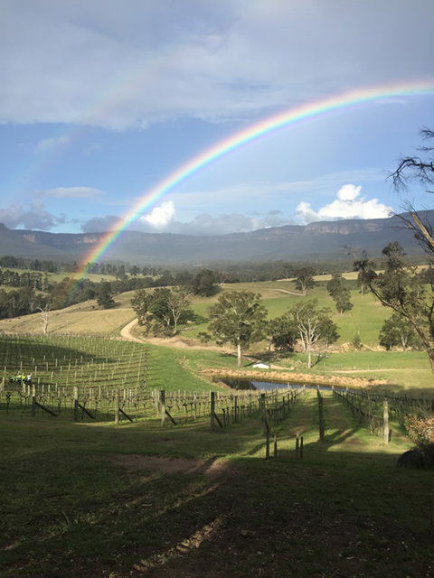 Dryridge Estate - Lightning Ridge Tourism 4