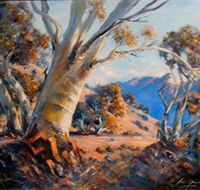 Kunama Snowy Mountains Centre for the Arts - Lightning Ridge Tourism