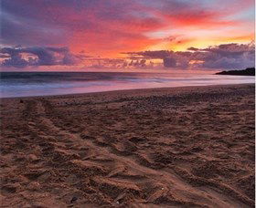 Mon Repos Beach - Lightning Ridge Tourism 0