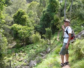 Mitchell River Walking Track - Lightning Ridge Tourism 1