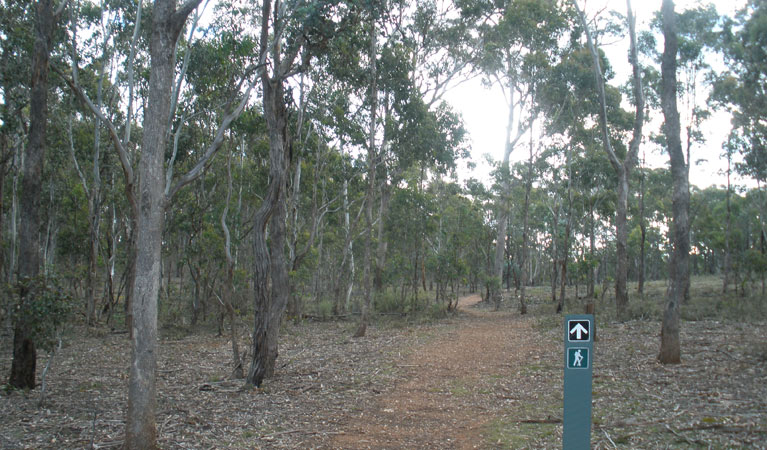 Lightning Ridge Tourism
