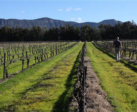 Around Hermitage Wine And Food Trail Hunter Valley - Lightning Ridge Tourism 1