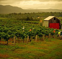Around Hermitage Wine and Food Trail Hunter Valley - Lightning Ridge Tourism