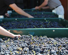 Around Hermitage Wine And Food Trail Hunter Valley - Lightning Ridge Tourism 6