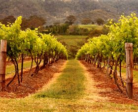 Hunter Valley Wine School - Lightning Ridge Tourism 1