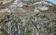 Greg Wilson Gallery - thumb 2