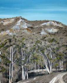 Greg Wilson Gallery - Lightning Ridge Tourism 2