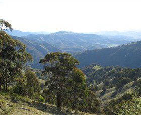 Barrington Tops State Forest - Lightning Ridge Tourism 2