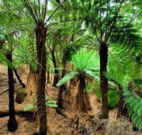 Pegarah Private Nature Reserve  Parenna Place - Lightning Ridge Tourism