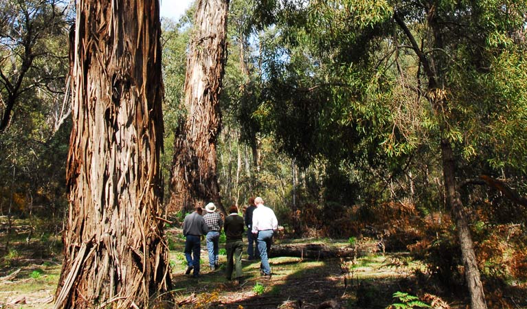 Ballalaba NSW Lightning Ridge Tourism