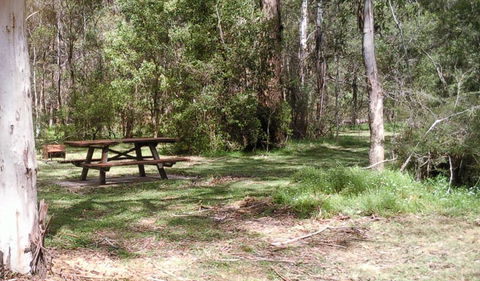 Tallaganda National Park - Lightning Ridge Tourism 1