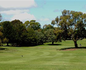 Cooma Golf Club - Lightning Ridge Tourism 1