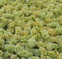 Normanby Wines - Lightning Ridge Tourism