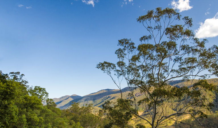 Dewitt NSW Lightning Ridge Tourism