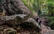 Woko National Park - thumb 2