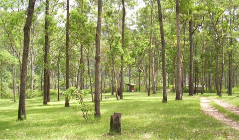 Nymboida National Park - Lightning Ridge Tourism 2