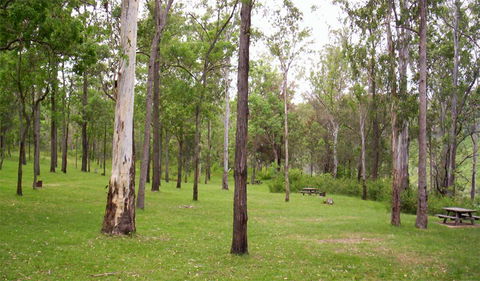 Nymboida National Park - Lightning Ridge Tourism 3