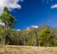 Brush Turkey track - Lightning Ridge Tourism