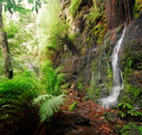 Fairy Bower Falls - Lightning Ridge Tourism