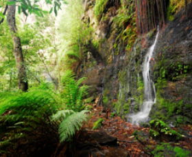 Fairy Bower Falls - Lightning Ridge Tourism 0