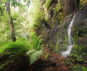 Fairy Bower Falls - Lightning Ridge Tourism 2