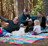 State Forests of the Watagan Mountains - Lightning Ridge Tourism