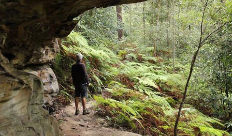 Dharug National Park - Lightning Ridge Tourism 0