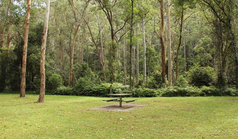 Dharug National Park - Lightning Ridge Tourism 3