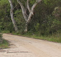 Riverview walking track - Lightning Ridge Tourism