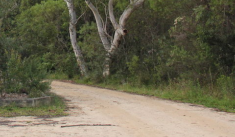Riverview Walking Track - Lightning Ridge Tourism 0