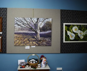 Monaro Art Groups Little Gallery - Lightning Ridge Tourism 0
