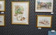 Monaro Art Groups Little Gallery - thumb 1