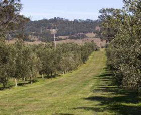 Bunna Bunoo Olive Grove - Lightning Ridge Tourism 1