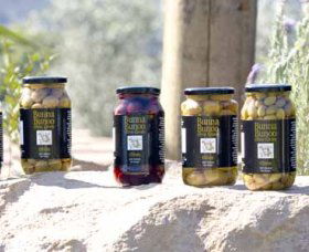 Bunna Bunoo Olive Grove - Lightning Ridge Tourism 4