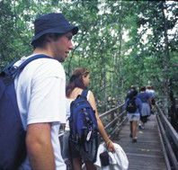 Bellthorpe National Park - Lightning Ridge Tourism