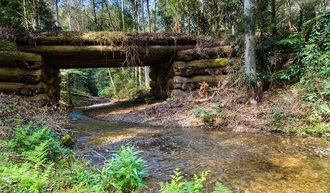 Myrtle Scrub Scenic Drive - Lightning Ridge Tourism 0