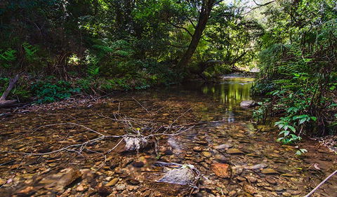 Myrtle Scrub Scenic Drive - Lightning Ridge Tourism 2