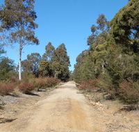 Werakata National Park - Lightning Ridge Tourism