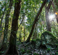 Copeland Tops State Conservation Area - Lightning Ridge Tourism