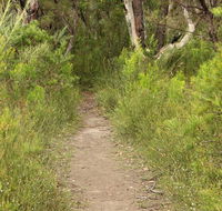 Three Views walking track - Lightning Ridge Tourism