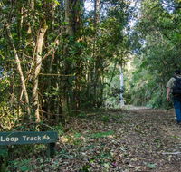 Basin Loop track - Lightning Ridge Tourism